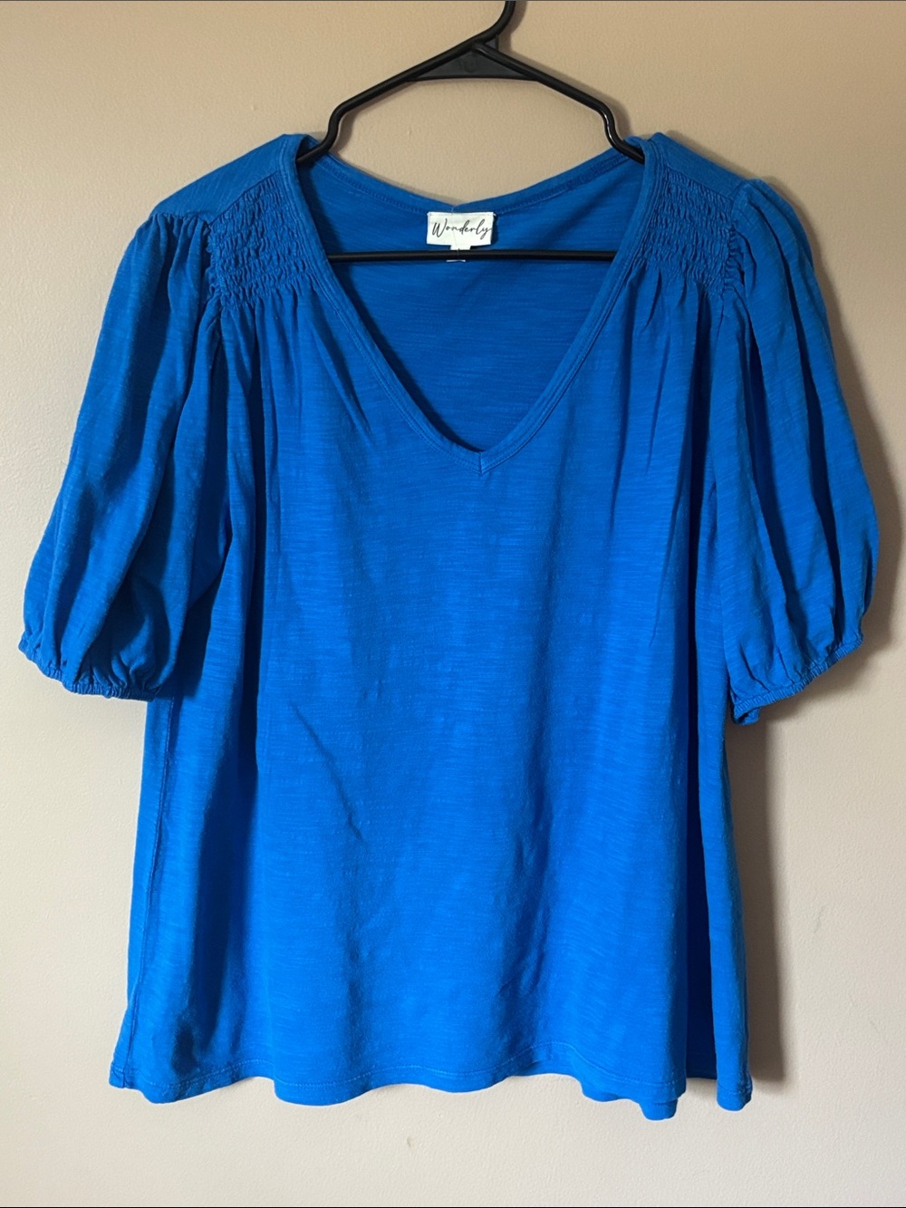Wonderly Bright Blue V-Neck Puff Sleeve Blouse